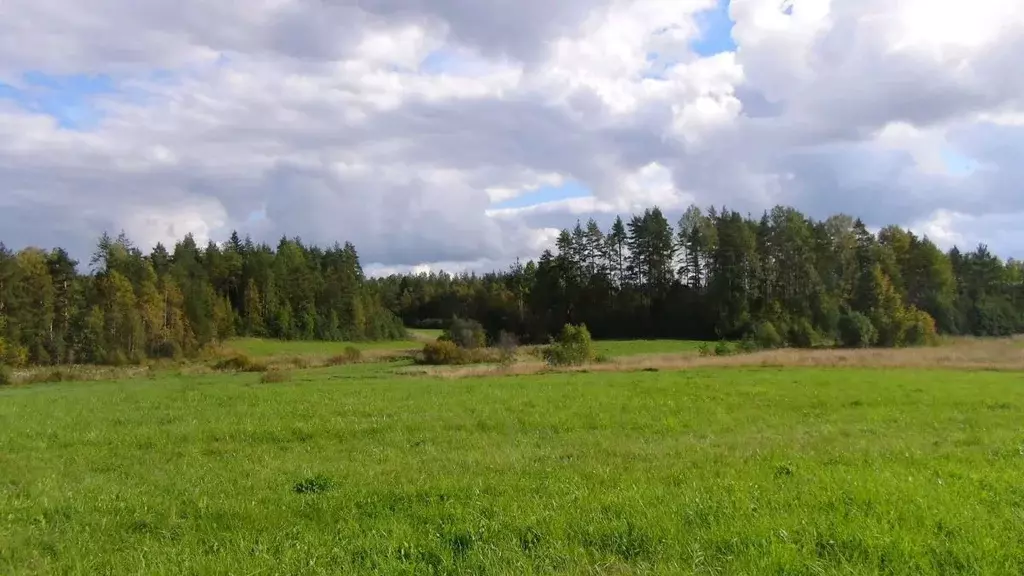 Участок в Ленинградская область, Приозерский район, Севастьяновское ... - Фото 1