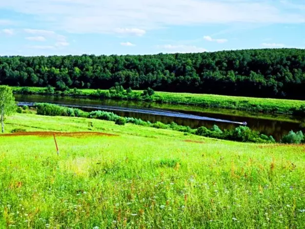 Участок в Калужская область, Ферзиковский район, Кольцово с/пос, д. ... - Фото 2