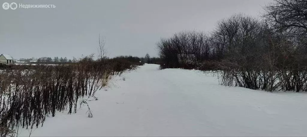 Участок в деревня Тешеничи, садово-дачное товарищество Радуга-1, 385 ... - Фото 1