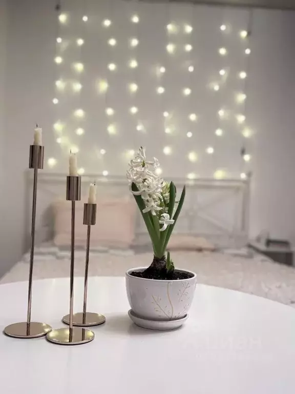 2-к кв. Санкт-Петербург просп. Народного ополчения, 61 (42.2 м) - Фото 1