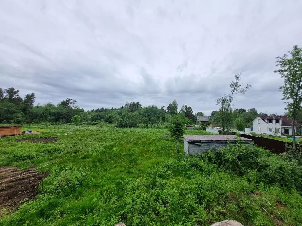 Участок в Ленинградская область, Приозерский район, Ларионовское ... - Фото 2
