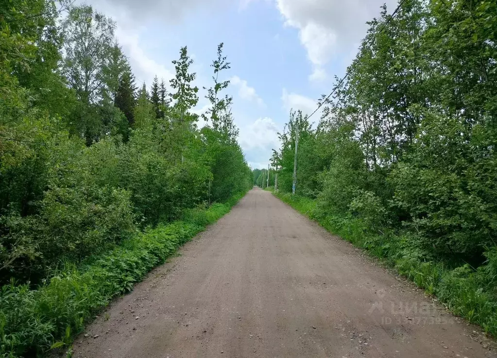 Участок в Ленинградская область, Кировский район, Мгинское городское ... - Фото 2