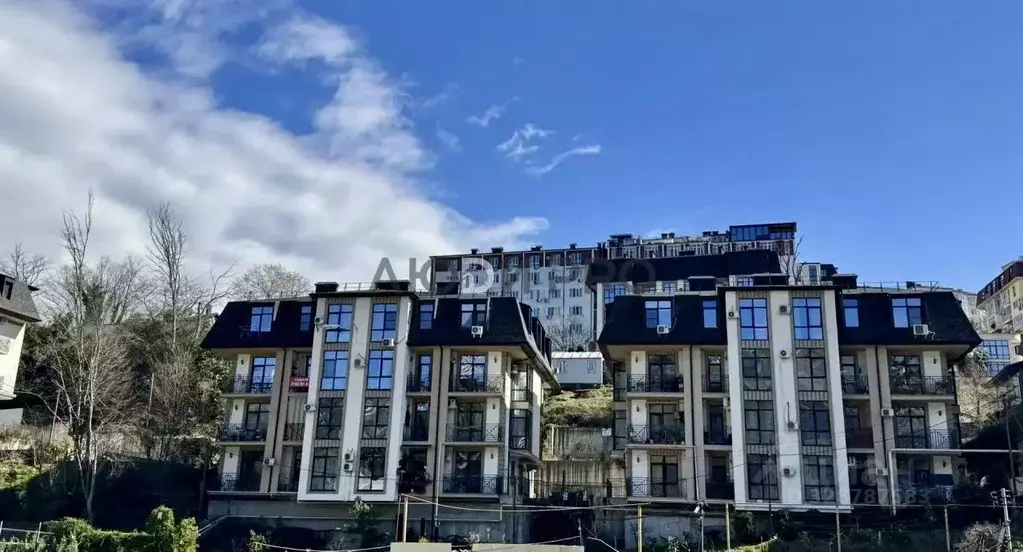 1-к кв. Краснодарский край, Сочи Яна Фабрициуса мкр, ул. Метелева, ... - Фото 1