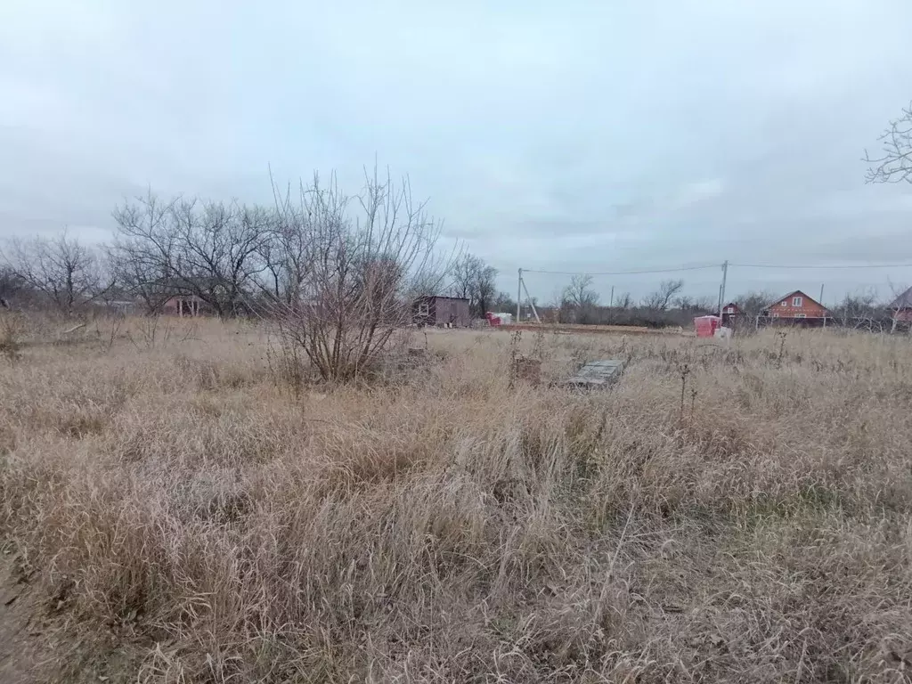 Участок в Краснодарский край, Ейск Виктория СНТ, ул. 12-я (5.0 сот.) - Фото 1