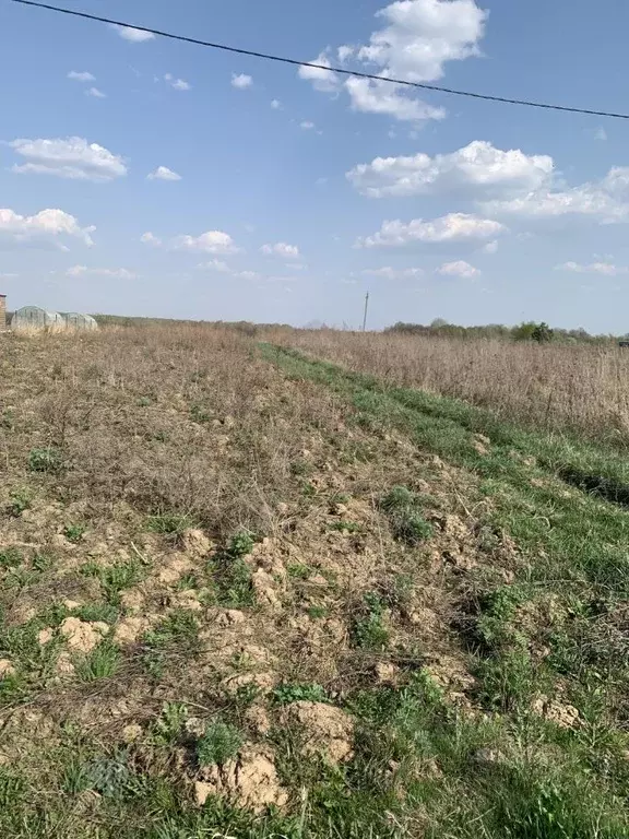 Участок в Калужская область, Ферзиковский район, Авчурино с/пос, с. ... - Фото 2