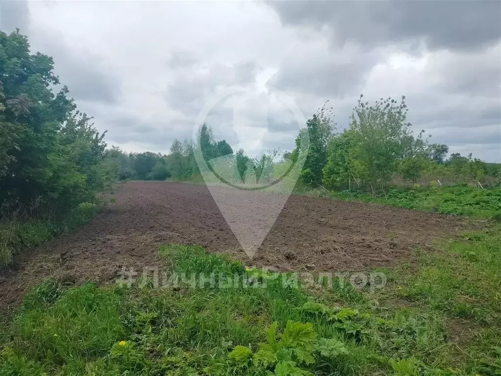 Участок в Рязанская область, Старожиловский муниципальный округ, с. ... - Фото 2