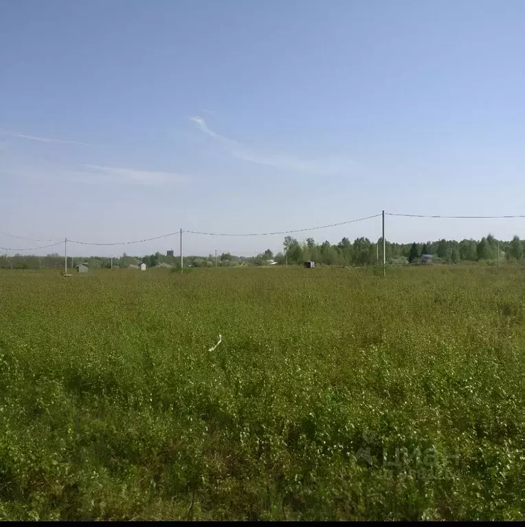 Участок в Нижегородская область, Богородский район, д. Шопово ул. ... - Фото 0