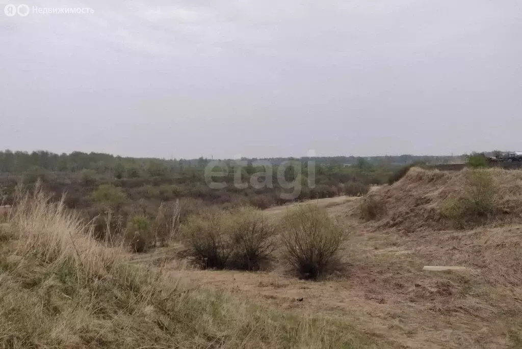 1-комнатная квартира: Тюмень, Полевая улица, 105 (39.4 м) - Фото 2