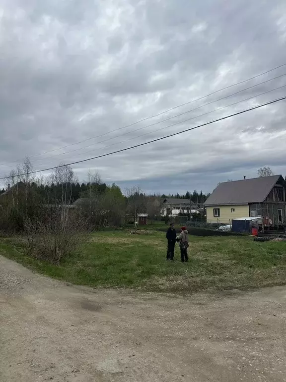 Участок в Свердловская область, Екатеринбург Уют СНТ,  (8.0 сот.) - Фото 1