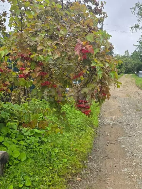 Участок в Хабаровский край, Комсомольский район, Галичное СНТ ул. ... - Фото 0