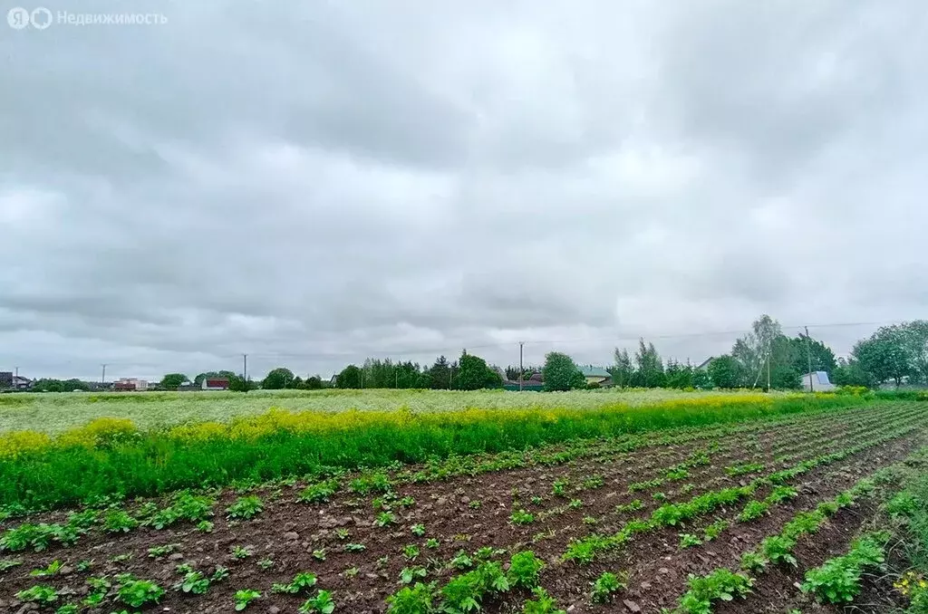Участок в Жабино, Новая улица (15.27 м) - Фото 0