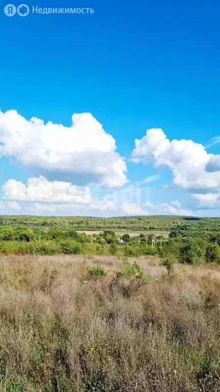 Участок в Крымский район, Нижнебаканское сельское поселение, станица ... - Фото 2