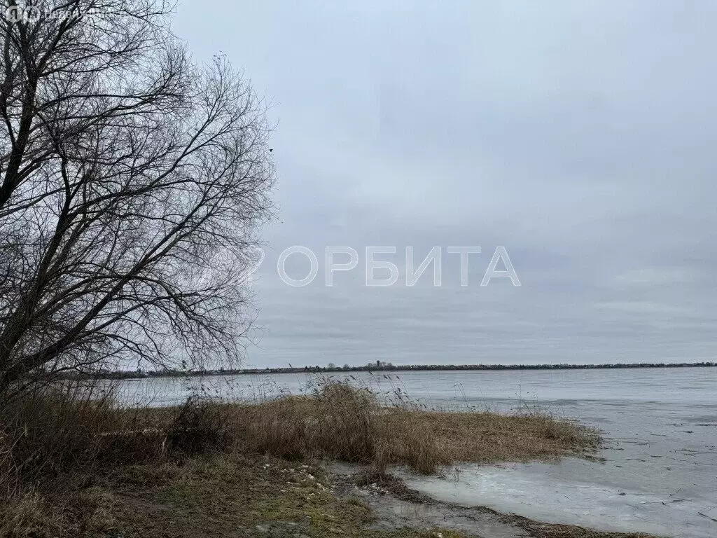 Участок в Исетское, улица Маяковского (19.6 м) - Фото 2