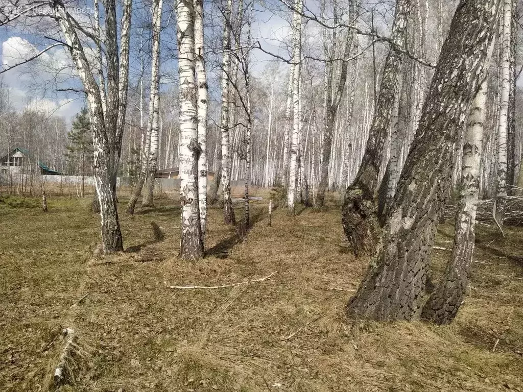 Участок в Курганская область, Кетовский муниципальный округ, деревня ... - Фото 0