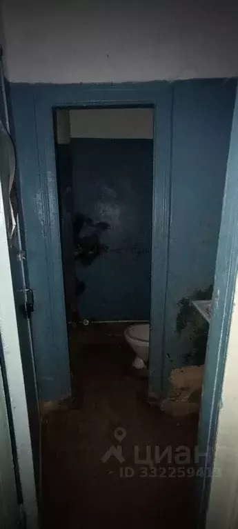 Торговая площадь в Татарстан, Агрыз ул. Маяковского, 16 (125 м) - Фото 2