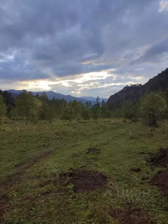 Участок в Алтай, Чемальский район, Узнезинское с/пос, с. Узнезя ул. ... - Фото 2