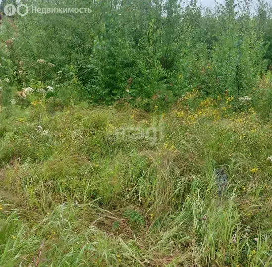 Участок в Новосибирский район, Ярковский сельсовет, СТ Ветеран-2 (5.8 ... - Фото 1