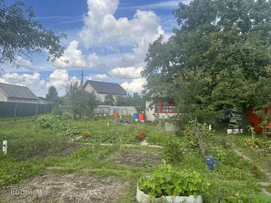 Участок в Калининградская область, Калининград Сад № 1 СНТ, проезд ... - Фото 2