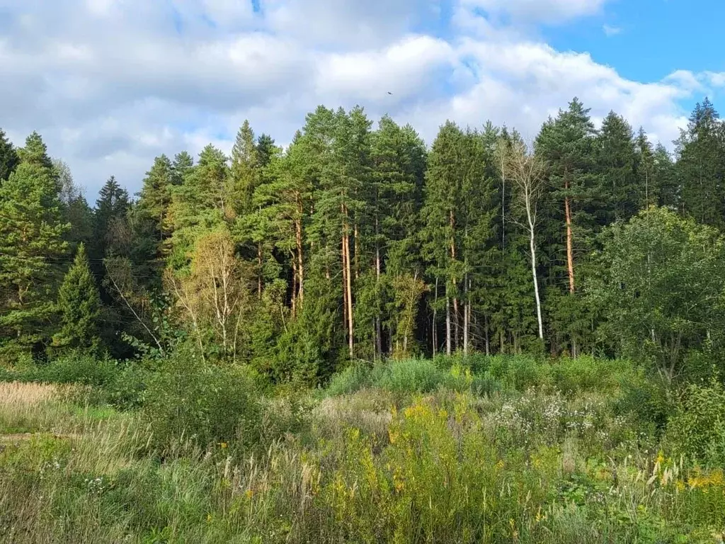 Участок в Калужская область, Боровский муниципальный округ, д. Шилово  ... - Фото 1