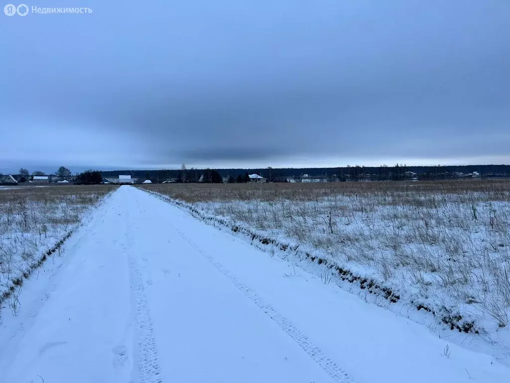 Участок в Раменский городской округ, дачный посёлок Давыдово (7 м) - Фото 0