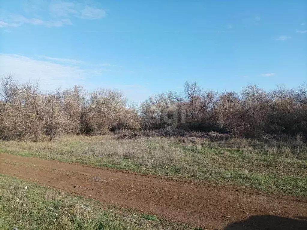 Участок в Крым, Феодосия пер. Казацкий (9.6 сот.) - Фото 1