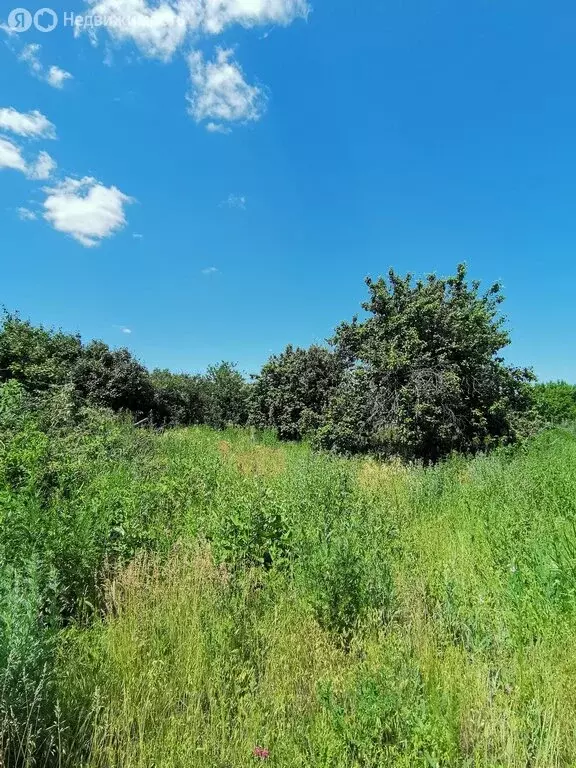 Участок в село Ленинское, Школьная улица (10 м) - Фото 1