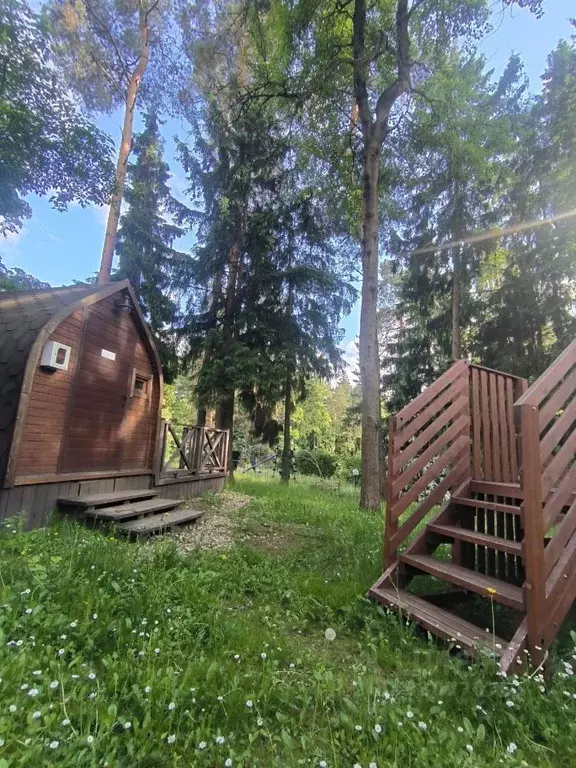 Участок в Московская область, Одинцовский городской округ, д. Бородки  ... - Фото 2
