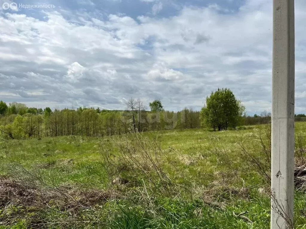 Участок в Луховицы, садоводческое некоммерческое товарищество ... - Фото 1