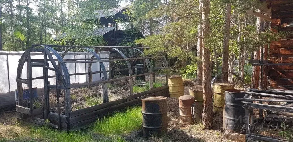 Участок в Саха (Якутия), Якутск городской округ, с. Маган  (6.0 сот.) - Фото 2