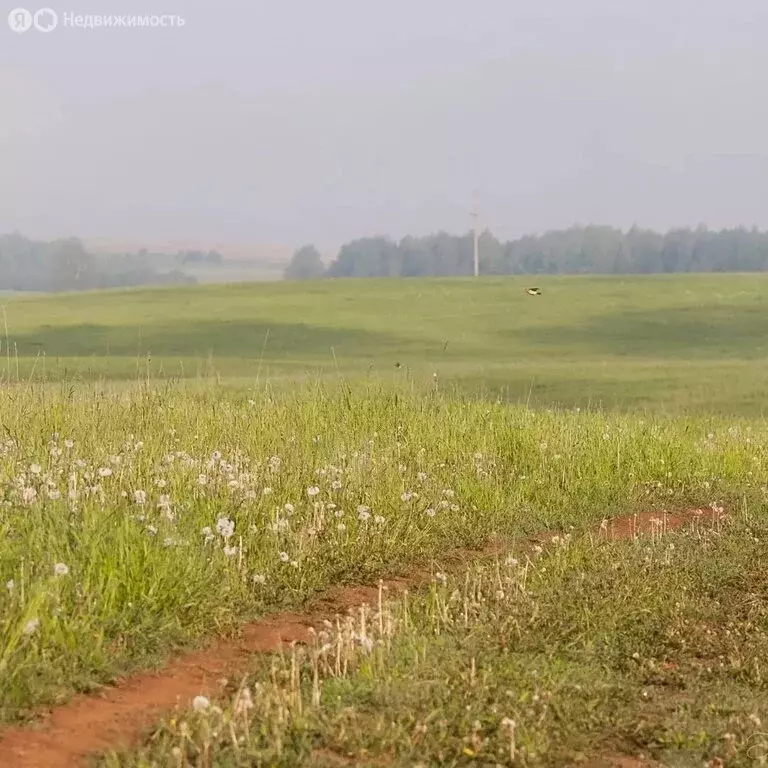 Участок в Ижевск, микрорайон Люлли, Городская улица, 10 (10 м) - Фото 0