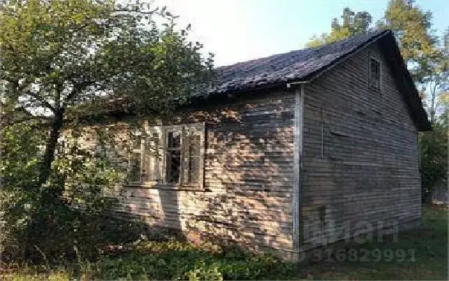 Помещение свободного назначения в Калининградская область, Неманский ... - Фото 1