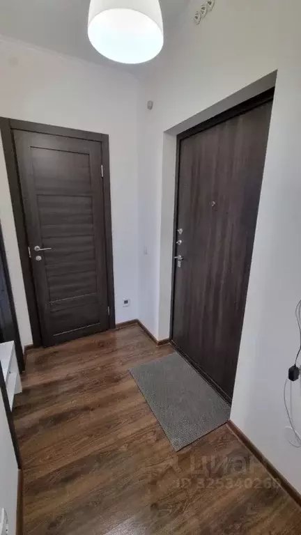 Студия Санкт-Петербург просп. Ветеранов, 175 (25.0 м) - Фото 1