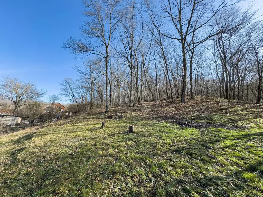 Участок в Краснодарский край, Геленджик городской округ, с. Адербиевка ... - Фото 1