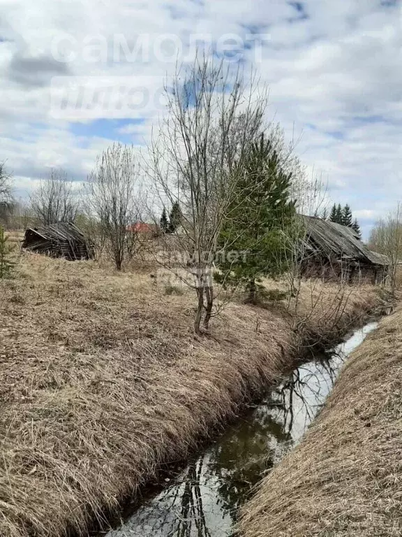 Дом в Кировская область, Оричевский район, Шалеговское с/пос, с. ... - Фото 0