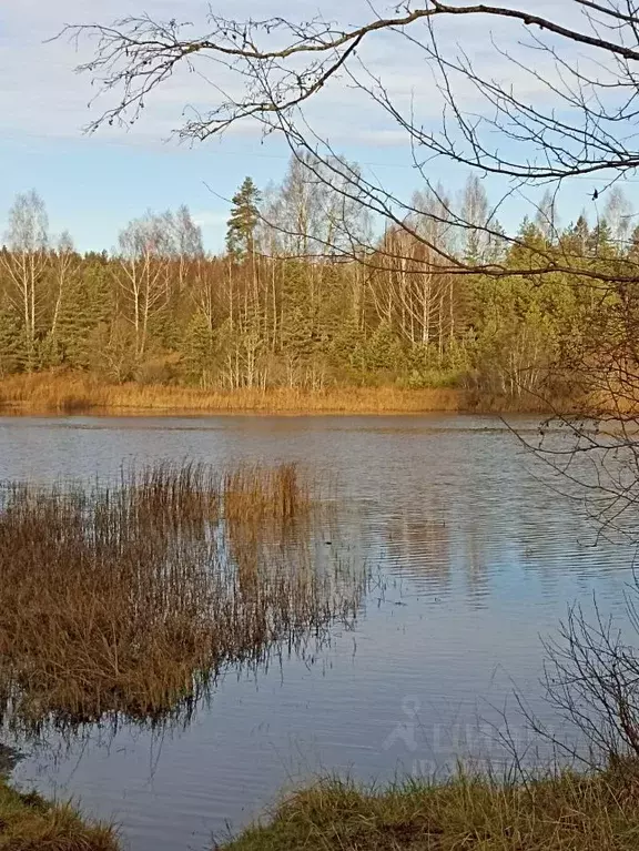 1-к кв. Псковская область, Печорский муниципальный округ, д. Ротово  ... - Фото 2