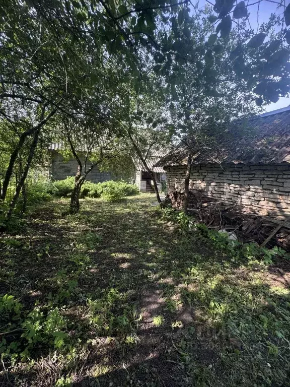Дом в Псковская область, Псковский район, Ядровская волость, д. ... - Фото 1