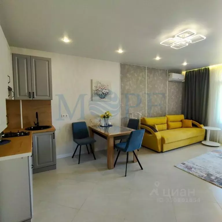 Студия Краснодарский край, Сочи Агро СНТ, 48 (35.0 м) - Фото 2