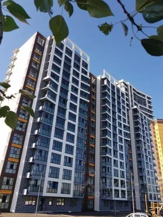 Студия Удмуртия, Ижевск Клубная ул., 25А (24.0 м) - Фото 0