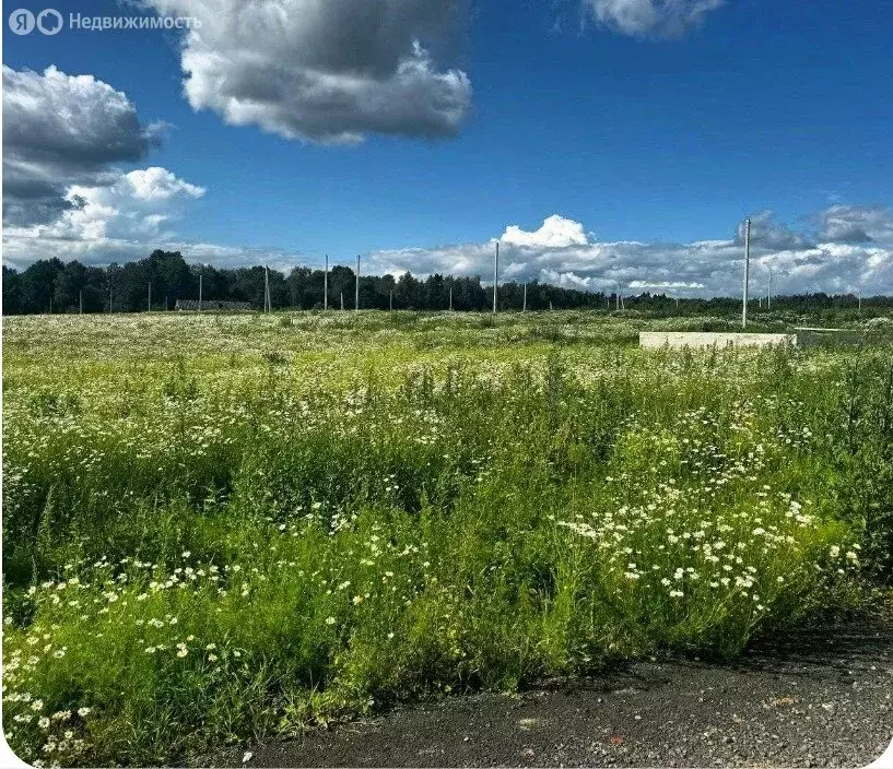 Участок в Калужская область, сельское поселение Совхоз Боровский, ... - Фото 0