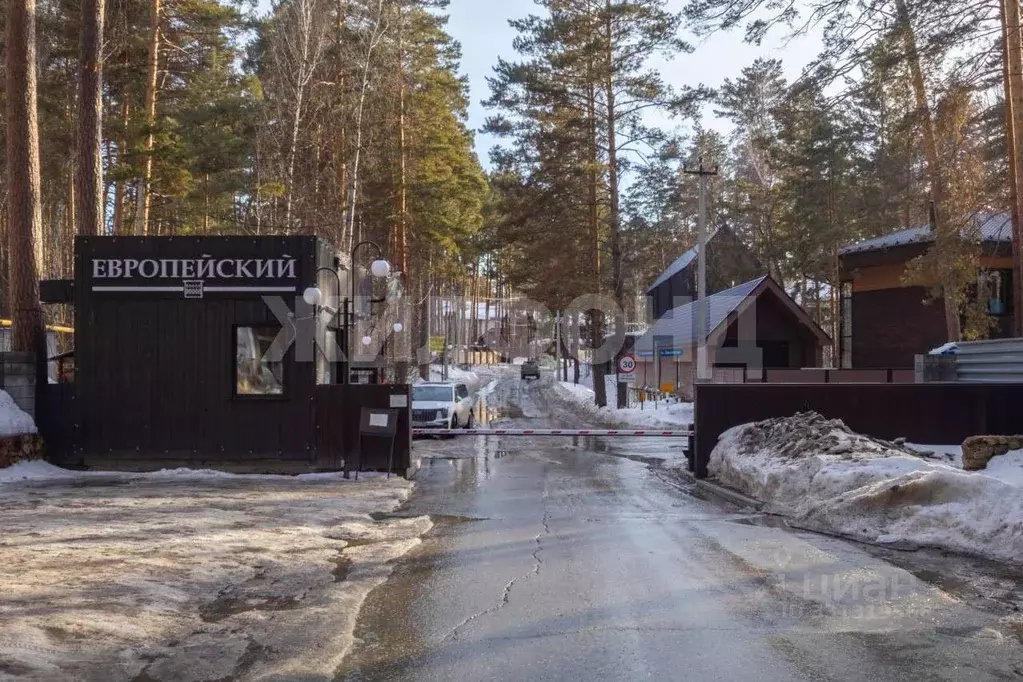 Участок в Новосибирская область, Новосибирск Европейский кп, 145 (10.0 ... - Фото 1