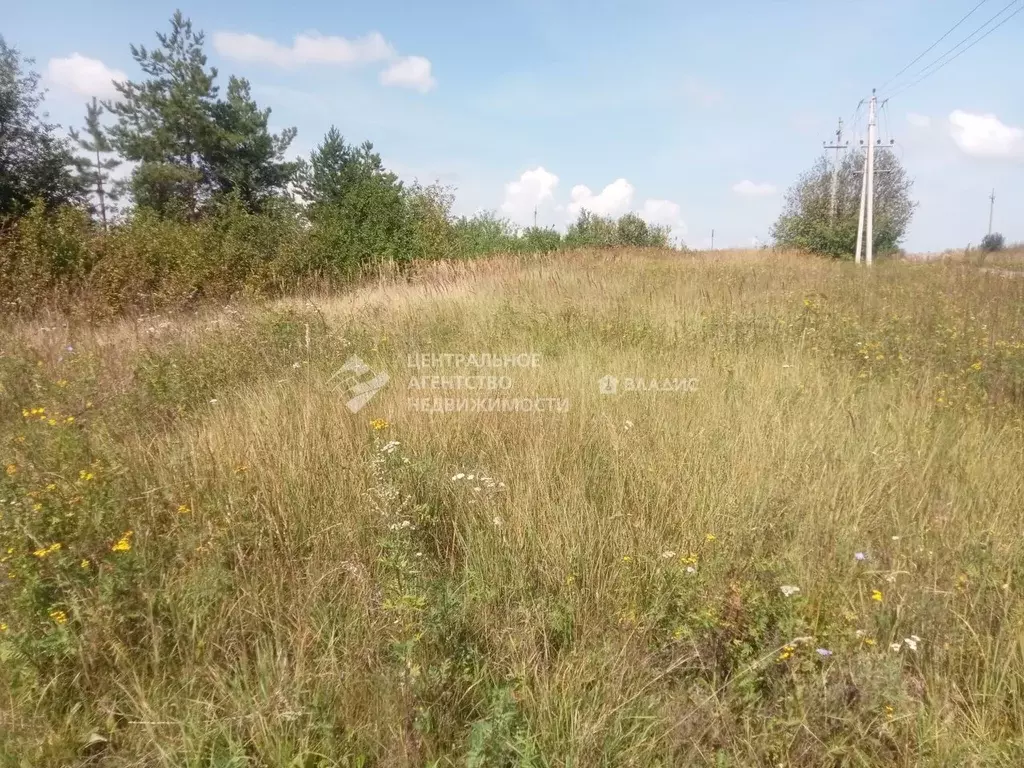 Участок в Рязанская область, Рязанский район, Подвязьевское с/пос, д. ... - Фото 2