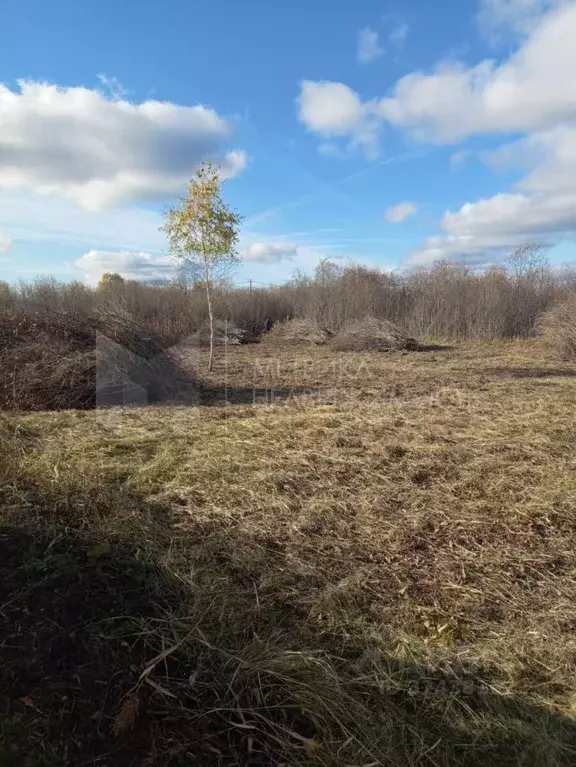 Участок в Тюменская область, Тюмень Большое Царево-1 СНТ, ул. Садовая ... - Фото 1