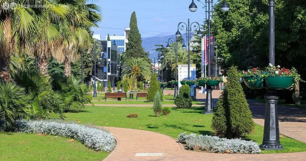 Участок в Сочи, улица Ломоносова (8.5 м) - Фото 0