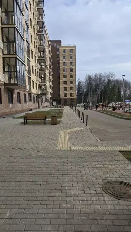 2-к кв. Московская область, Дмитровский муниципальный округ, ... - Фото 2
