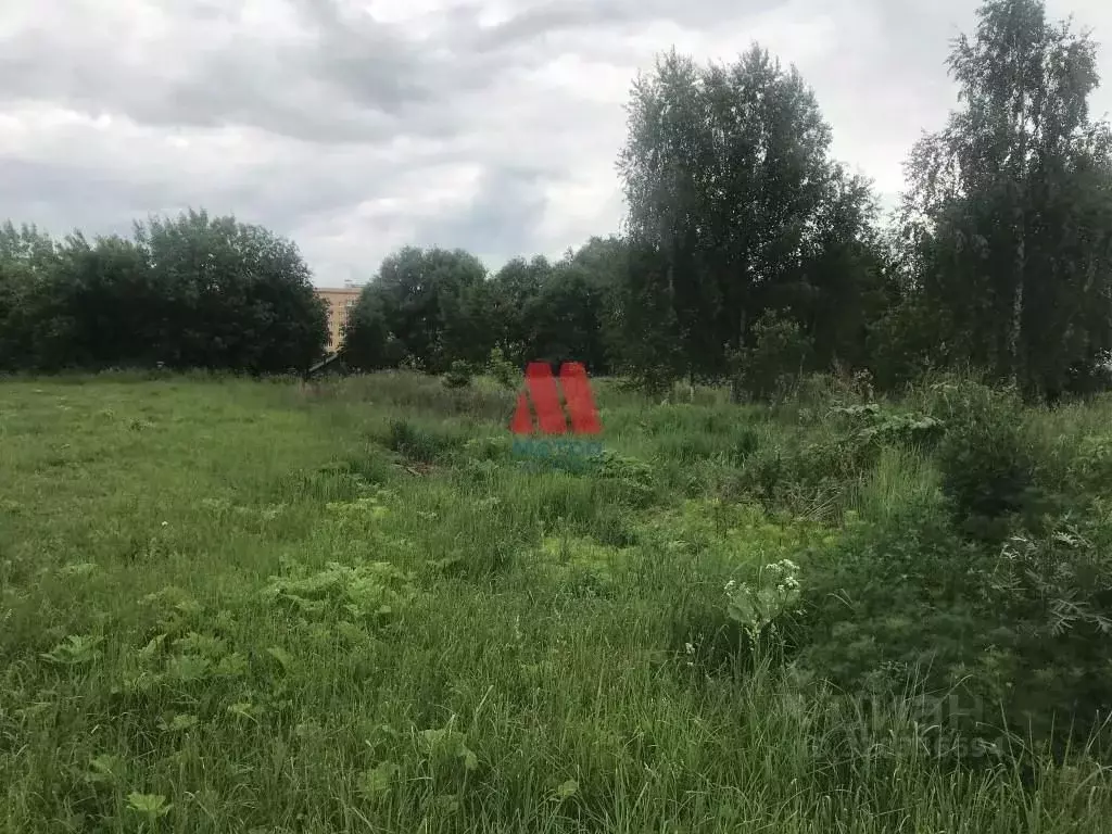 Участок в Ярославская область, Ярославский муниципальный округ, с. ... - Фото 2