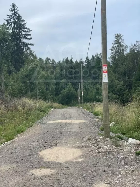 Участок в Ленинградская область, Приозерское городское поселение, пос. ... - Фото 1