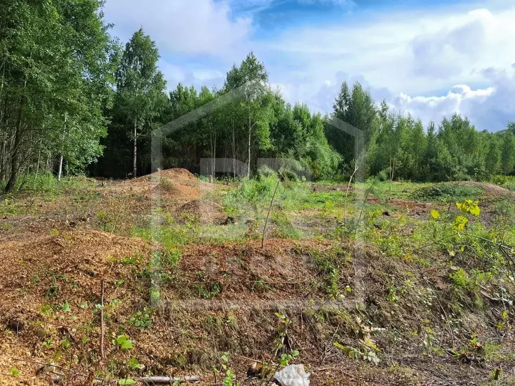 Участок в Ленинградская область, Всеволожск Береговая ул. (10.0 сот.) - Фото 0