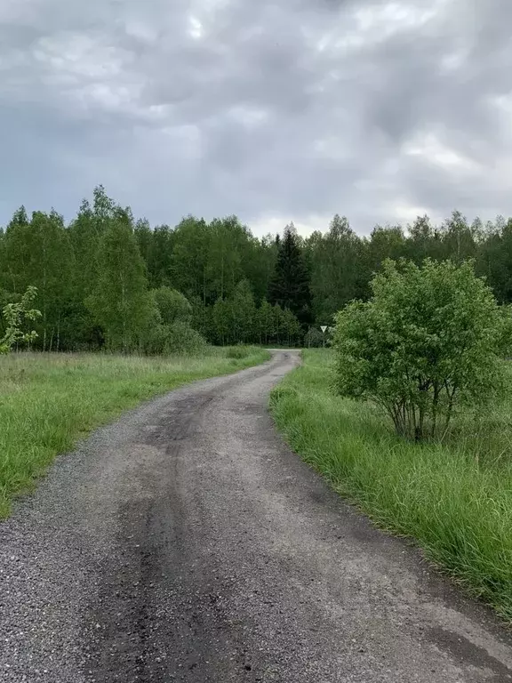 Участок в Московская область, Серпухов городской округ, Заповедный ... - Фото 1