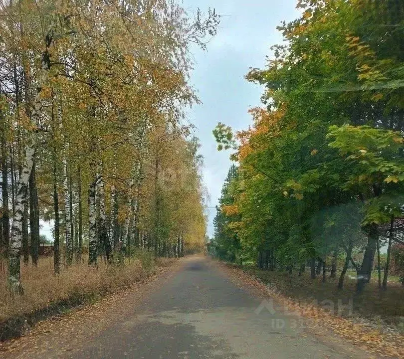 Участок в Брянская область, Брянский район, Мичуринское с/пос, Заря ... - Фото 1