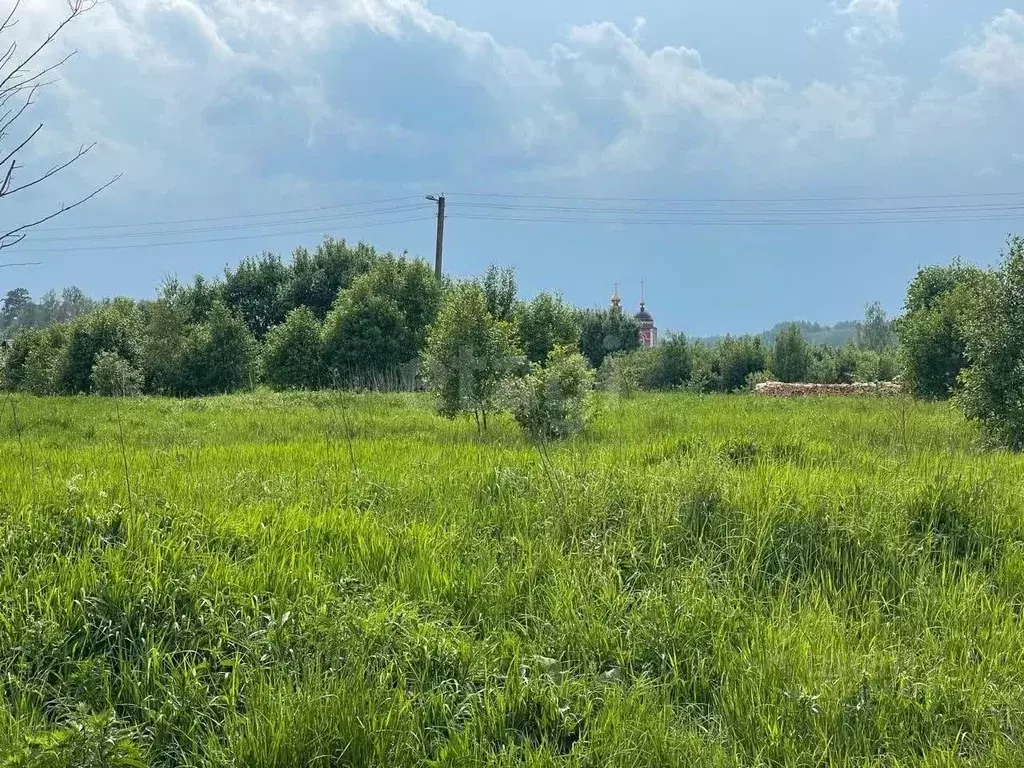 Участок в Калужская область, Медынский район, Брюхово с/пос, с. Егорье ... - Фото 1